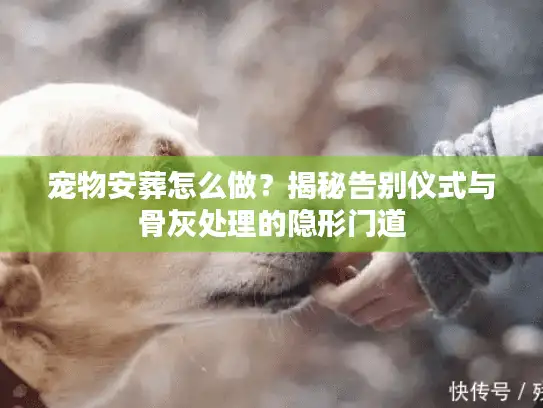 宠物安葬怎么做?揭秘告别仪式与骨灰处理的隐形门道 宠物安葬怎么做?揭秘告别仪式与骨灰处理的隐形门道