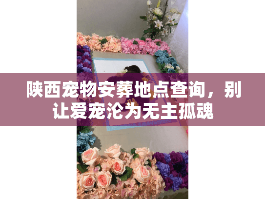 陕西宠物安葬地点查询,别让爱宠沦为无主孤魂 陕西宠物安葬地点查询,别让爱宠沦为无主孤魂