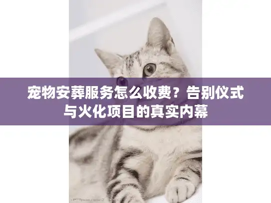 宠物安葬服务怎么收费？告别仪式与火化项目的真实内幕