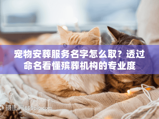 宠物安葬服务名字怎么取?透过命名看懂殡葬机构的专业度 宠物安葬服务名字怎么取?透过命名看懂殡葬机构的专业度