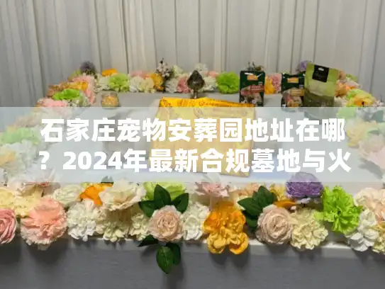 石家庄宠物安葬园地址在哪?2024年最新合规墓地与火化点 石家庄宠物安葬园地址在哪?2024年最新合规墓地与火化点