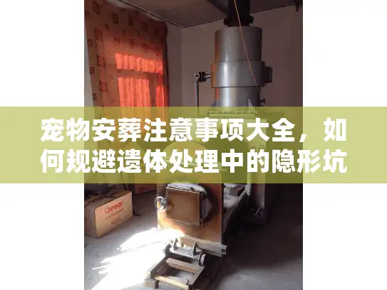 宠物安葬注意事项大全，如何规避遗体处理中的隐形坑与法律红线