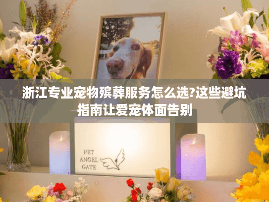 浙江专业宠物殡葬服务怎么选?这些避坑指南让爱宠体面告别