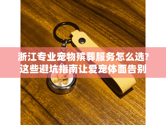浙江专业宠物殡葬服务怎么选?这些避坑指南让爱宠体面告别