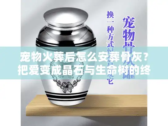宠物火葬后怎么安葬骨灰?把爱变成晶石与生命树的终极方案 宠物火葬后怎么安葬骨灰?把爱变成晶石与生命树的终极方案
