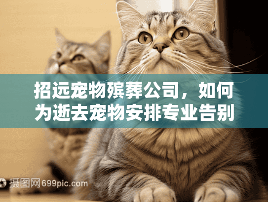 招远宠物殡葬公司,如何为逝去宠物安排专业告别仪式? 招远宠物殡葬公司,如何为逝去宠物安排专业告别仪式?