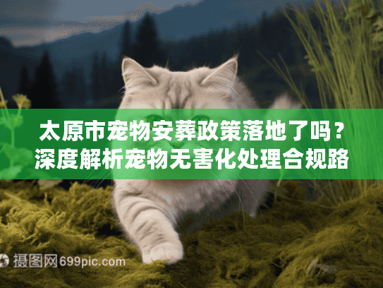 太原市宠物安葬政策落地了吗?深度解析宠物无害化处理合规路径 太原市宠物安葬政策落地了吗?深度解析宠物无害化处理合规路径