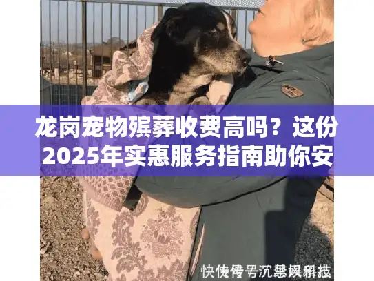 龙岗宠物殡葬收费高吗？这份2025年实惠服务指南助你安心告别爱宠