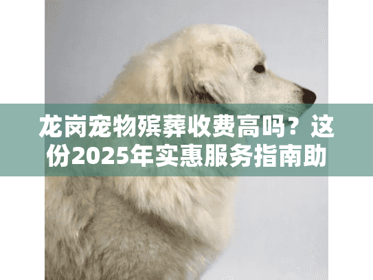 龙岗宠物殡葬收费高吗？这份2025年实惠服务指南助你安心告别爱宠