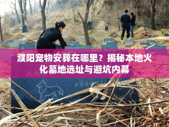 濮阳宠物安葬在哪里?揭秘本地火化墓地选址与避坑内幕 濮阳宠物安葬在哪里?揭秘本地火化墓地选址与避坑内幕
