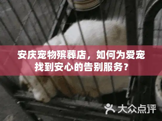 安庆宠物殡葬店,如何为爱宠找到安心的告别服务? 安庆宠物殡葬店,如何为爱宠找到安心的告别服务?