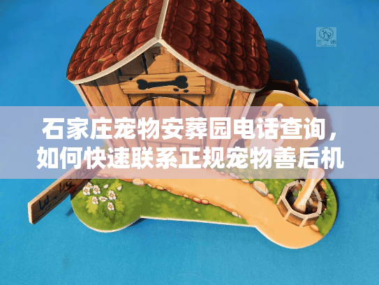 石家庄宠物安葬园电话查询，如何快速联系正规宠物善后机构？