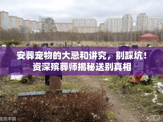安葬宠物的大忌和讲究，别踩坑！资深殡葬师揭秘送别真相
