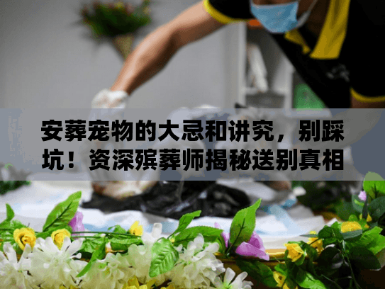 安葬宠物的大忌和讲究，别踩坑！资深殡葬师揭秘送别真相