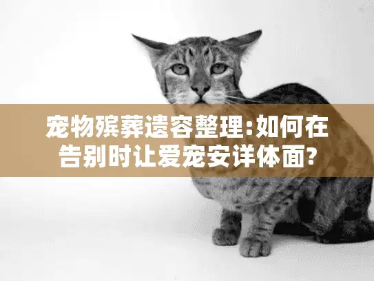 宠物殡葬遗容整理:如何在告别时让爱宠安详体面? 宠物殡葬遗容整理:如何在告别时让爱宠安详体面?