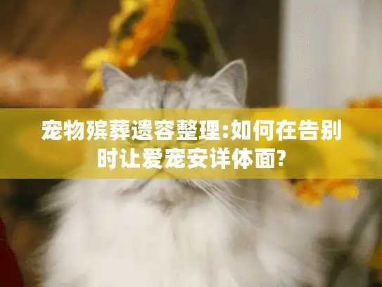 宠物殡葬遗容整理:如何在告别时让爱宠安详体面? 宠物殡葬遗容整理:如何在告别时让爱宠安详体面?