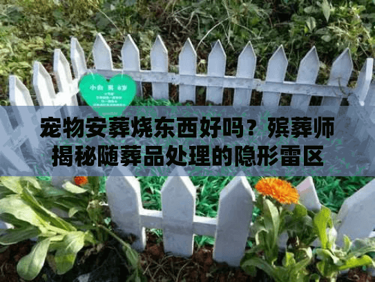 宠物安葬烧东西好吗？殡葬师揭秘随葬品处理的隐形雷区