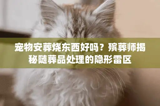 宠物安葬烧东西好吗？殡葬师揭秘随葬品处理的隐形雷区