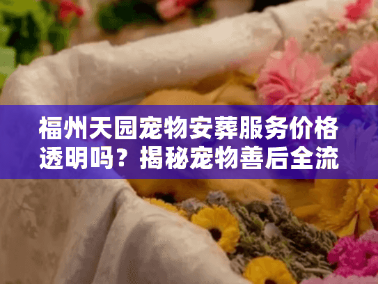 福州天园宠物安葬服务价格透明吗？揭秘宠物善后全流程