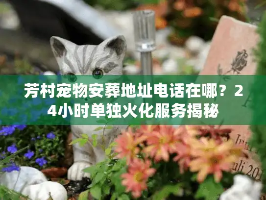 芳村宠物安葬地址电话在哪？24小时单独火化服务揭秘