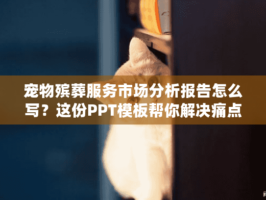 宠物殡葬服务市场分析报告怎么写？这份PPT模板帮你解决痛点