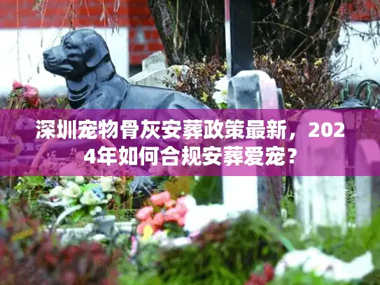 深圳宠物骨灰安葬政策最新，2024年如何合规安葬爱宠？