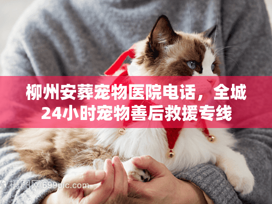 柳州安葬宠物医院电话,全城24小时宠物善后救援专线 柳州安葬宠物医院电话,全城24小时宠物善后救援专线