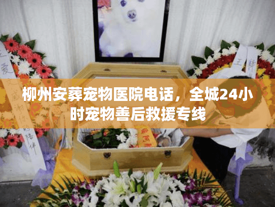 柳州安葬宠物医院电话,全城24小时宠物善后救援专线 柳州安葬宠物医院电话,全城24小时宠物善后救援专线