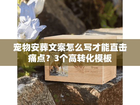 宠物安葬文案怎么写才能直击痛点？3个高转化模板