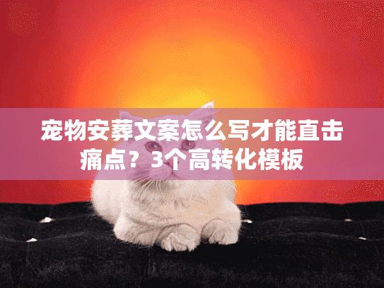 宠物安葬文案怎么写才能直击痛点？3个高转化模板