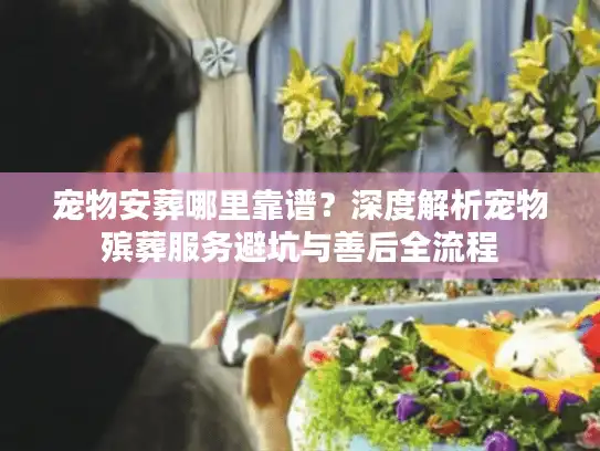 宠物安葬哪里靠谱？深度解析宠物殡葬服务避坑与善后全流程