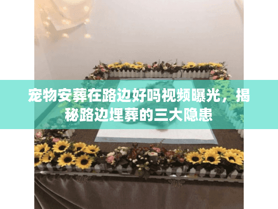 宠物安葬在路边好吗视频曝光，揭秘路边埋葬的三大隐患