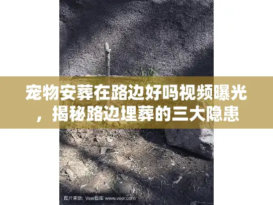 宠物安葬在路边好吗视频曝光，揭秘路边埋葬的三大隐患