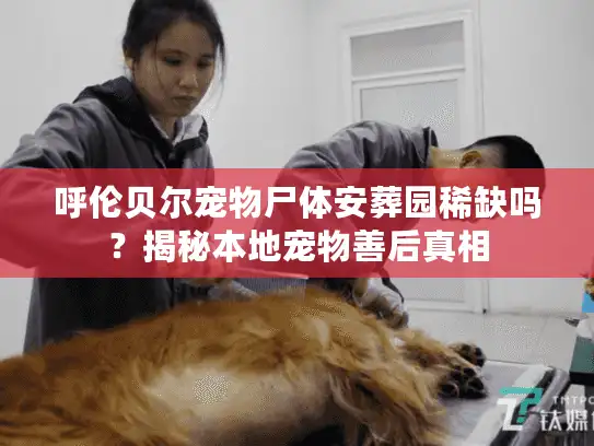 呼伦贝尔宠物尸体安葬园稀缺吗？揭秘本地宠物善后真相