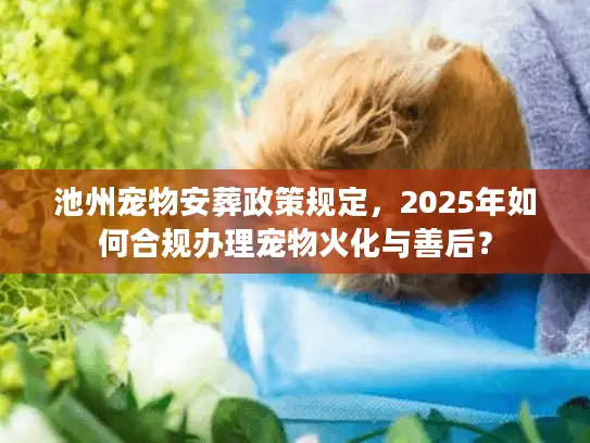 池州宠物安葬政策规定，2025年如何合规办理宠物火化与善后？