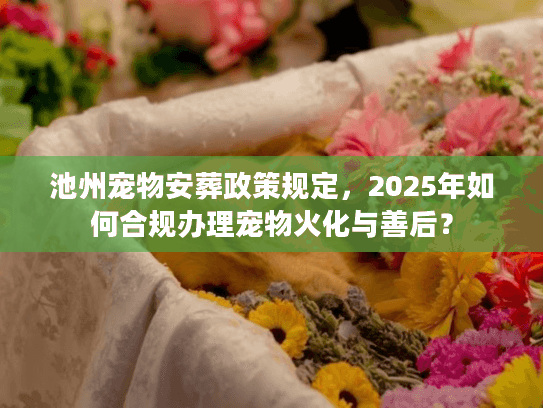 池州宠物安葬政策规定，2025年如何合规办理宠物火化与善后？