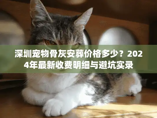 深圳宠物骨灰安葬价格多少？2024年最新收费明细与避坑实录