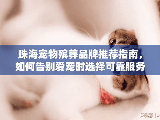 珠海宠物殡葬品牌推荐指南,如何告别爱宠时选择可靠服务? 珠海宠物殡葬品牌推荐指南,如何告别爱宠时选择可靠服务?