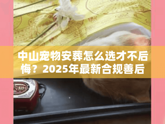 中山宠物安葬怎么选才不后悔？2025年最新合规善后服务避坑实录