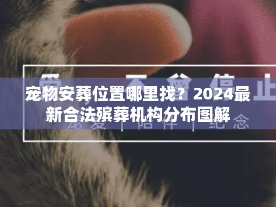 宠物安葬位置哪里找？2024最新合法殡葬机构分布图解
