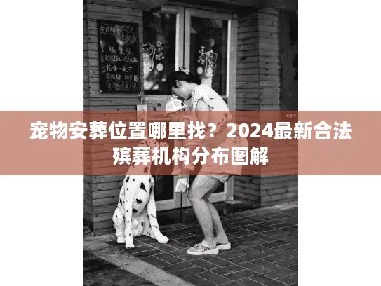 宠物安葬位置哪里找？2024最新合法殡葬机构分布图解