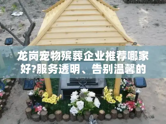 龙岗宠物殡葬企业推荐哪家好?服务透明、告别温馨的机构选择指南 龙岗宠物殡葬企业推荐哪家好?服务透明、告别温馨的机构选择指南