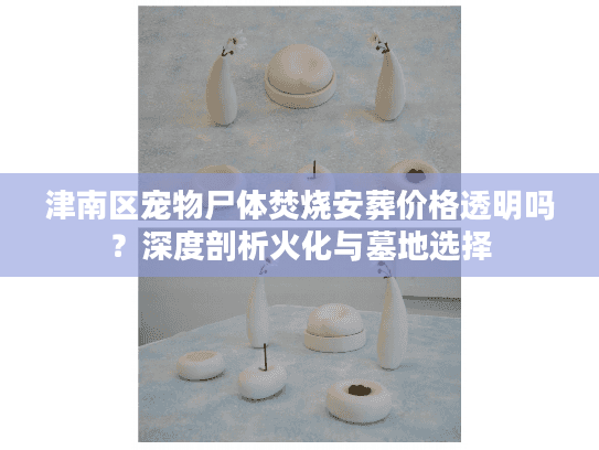 津南区宠物尸体焚烧安葬价格透明吗？深度剖析火化与墓地选择