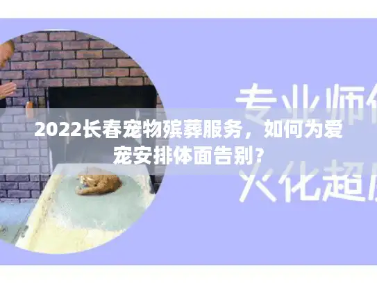 2022长春宠物殡葬服务,如何为爱宠安排体面告别? 2022长春宠物殡葬服务,如何为爱宠安排体面告别?