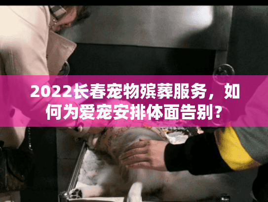 2022长春宠物殡葬服务,如何为爱宠安排体面告别? 2022长春宠物殡葬服务,如何为爱宠安排体面告别?