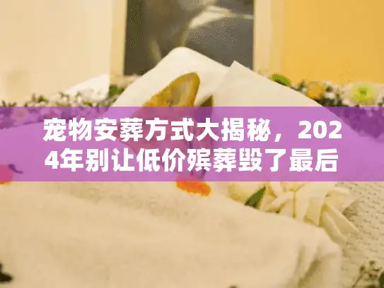 宠物安葬方式大揭秘,2024年别让低价殡葬毁了最后告别 宠物安葬方式大揭秘,2024年别让低价殡葬毁了最后告别