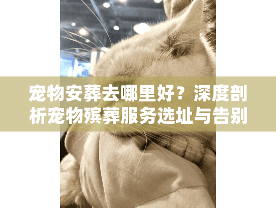 宠物安葬去哪里好?深度剖析宠物殡葬服务选址与告别仪式细节 宠物安葬去哪里好?深度剖析宠物殡葬服务选址与告别仪式细节