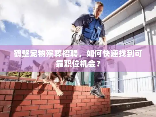 鹤壁宠物殡葬招聘，如何快速找到可靠职位机会？