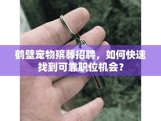 鹤壁宠物殡葬招聘，如何快速找到可靠职位机会？