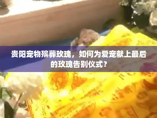 贵阳宠物殡葬玫瑰，如何为爱宠献上最后的玫瑰告别仪式？